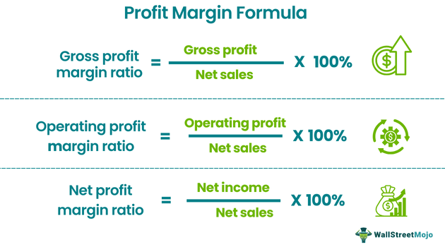 Un diagrama animado que muestra el método matemático utilizado para evaluar la rentabilidad de una empresa, destacando los ratios de margen de beneficio en tres niveles diferentes (margen de beneficio bruto, operativo y de rendimiento neto), cada uno indicando cómo se calculan a partir del valor de ventas.