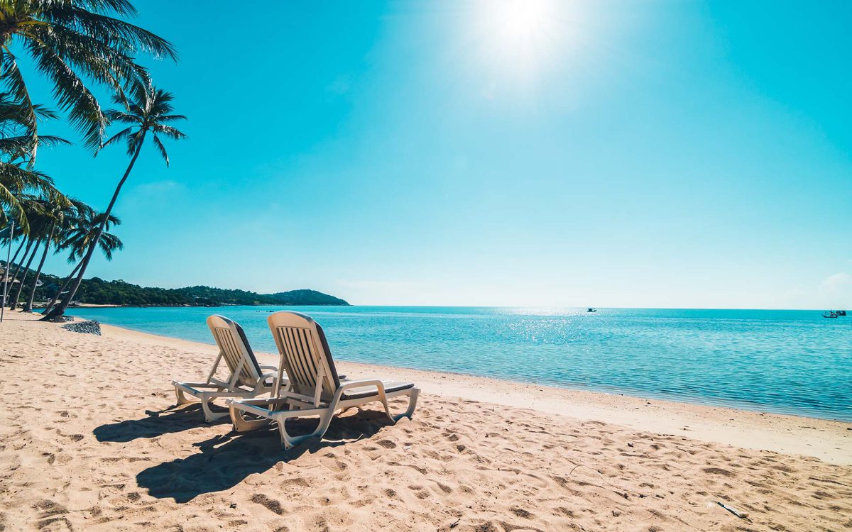 Dos tumbonas en la playa, rodeadas de palmeras y un mar tranquilo bajo un cielo despejado y soleado. Ideal para relajarse.