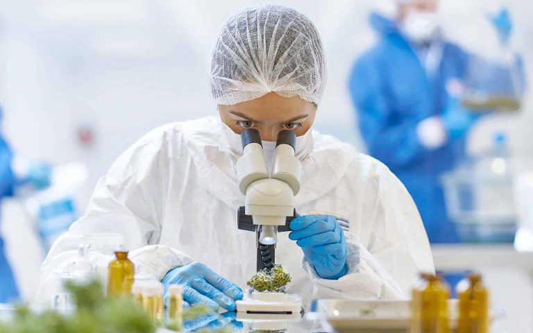 Científica observando una muestra de plantas a través de un microscopio en un laboratorio de investigación.