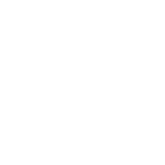 Logo Niubiz