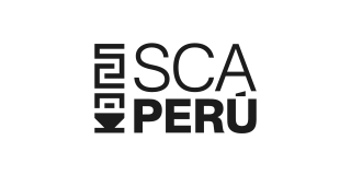 Logo SCA Peru