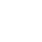 Logo Shopify