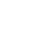 Logo Wordpress